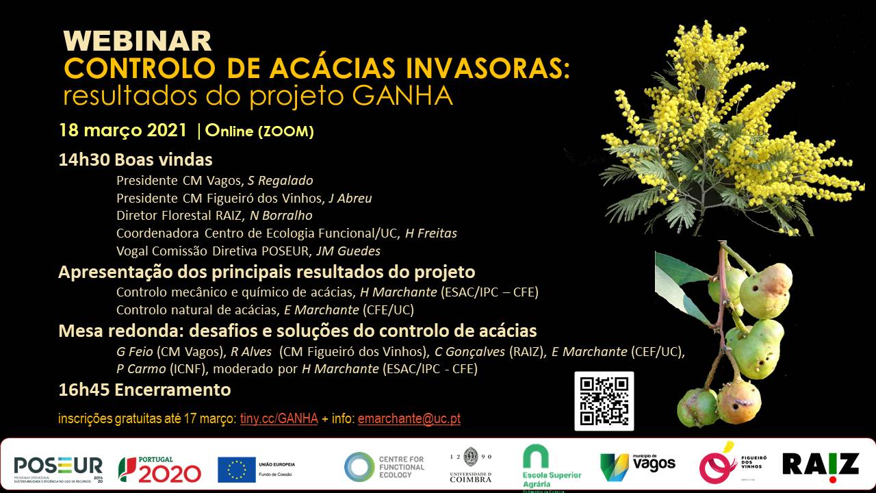 webinar